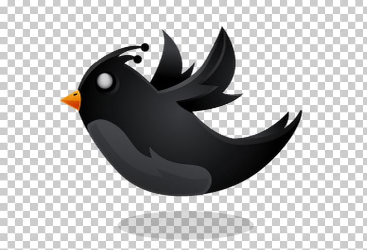 Penguin Bird Animal DJ Twist 1 PNG, Clipart, Animal, Animals, Beak, Bird, Computer Icons Free PNG Download