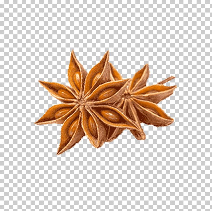 Spice Liqueur Star Anise Liquorice PNG, Clipart, Anise, Cinnamon, Dianhong, Difference, Flavor Free PNG Download