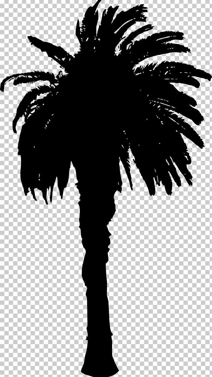 Asian Palmyra Palm Silhouette Arecaceae PNG, Clipart, Animals, Arecaceae, Arecales, Art, Asian Palmyra Palm Free PNG Download