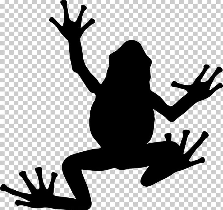 Frog Silhouette PNG, Clipart, Amphibian, Animals, Art, Artwork, Black Free PNG Download