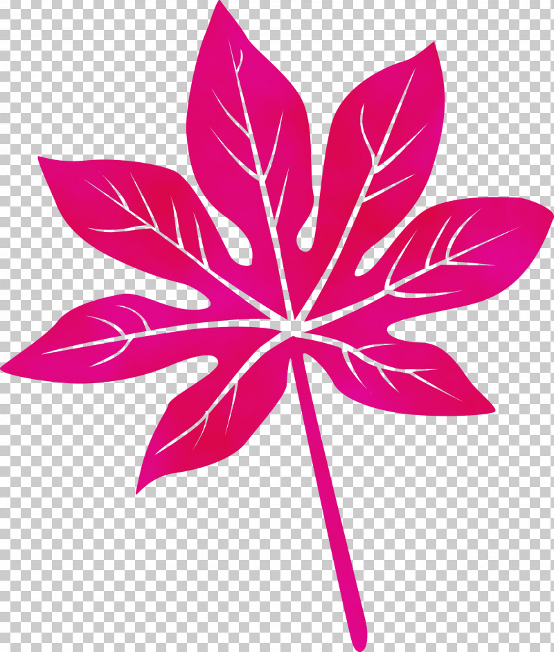 Leaf Flower Symmetry Petal Line PNG, Clipart, Biology, Flower, Geometry, Leaf, Line Free PNG Download