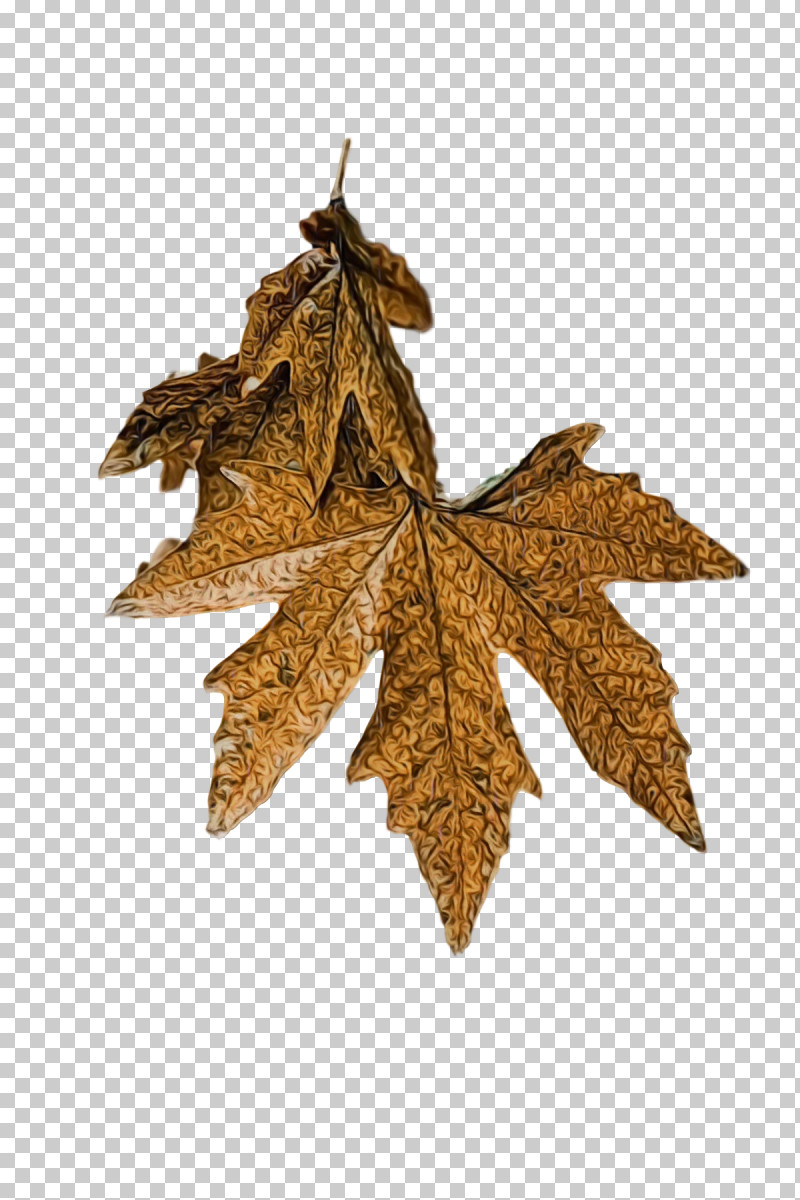 Leaf Maple Leaf / M Tree Plant Structure Biology PNG, Clipart, Biology, Leaf, Maple Leaf M, Paint, Plants Free PNG Download