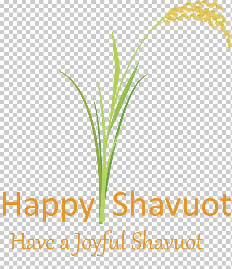 Happy Shavuot Shavuot Shovuos PNG, Clipart, Flower, Grass, Grass Family, Happy Shavuot, Leaf Free PNG Download