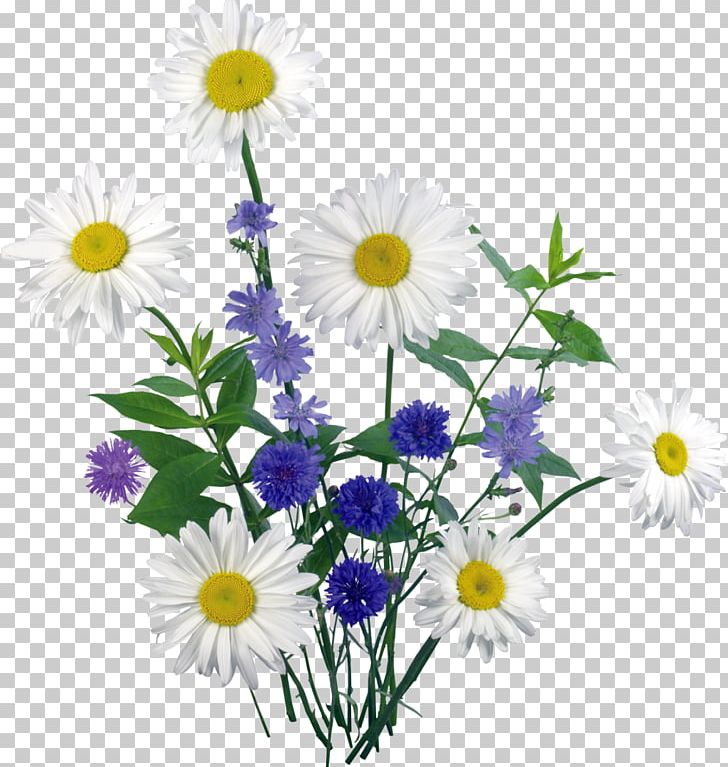 Flower Arranging Others Flower PNG, Clipart, Annual Plant, Aster, Chamaemelum Nobile, Chamomile, Chrysanths Free PNG Download
