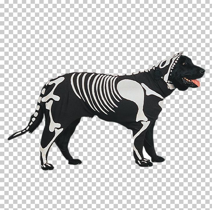 Dog Breed Pet Shih Tzu Costume Halloween PNG, Clipart, Animal, Carnivoran, Costume, Disguise, Dog Free PNG Download