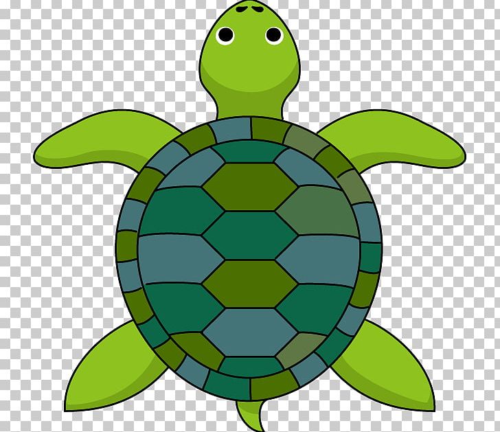 Turtle The Tortoise And The Hare PNG, Clipart, Animals, Artwork, Blog, Desert Tortoise, Drawing Free PNG Download