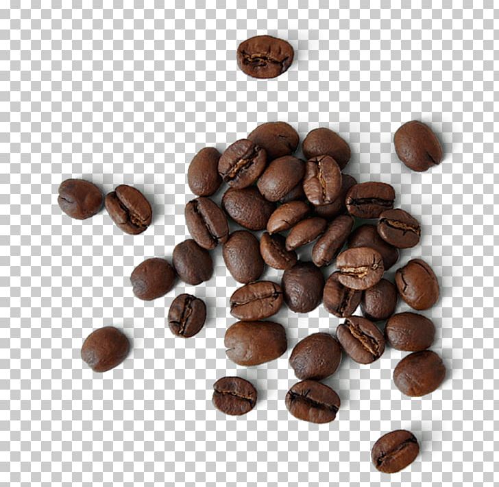 Jamaican Blue Mountain Coffee Kona Coffee Bills Beans East Orange Restaurant PNG, Clipart, Bar, Bean, Bills, Caffeine, Chocolate Free PNG Download