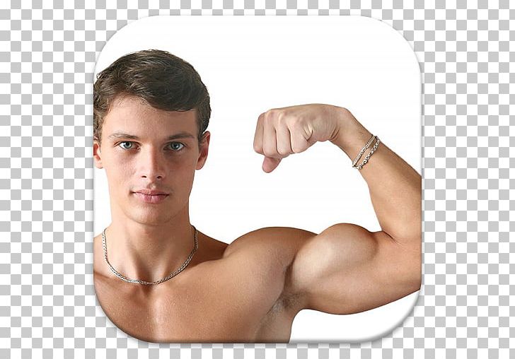 Muscle Biceps Augšdelms Human Body Sarcoplasm PNG, Clipart, Abdomen, Active Undergarment, Arm, Barechestedness, Biceps Free PNG Download