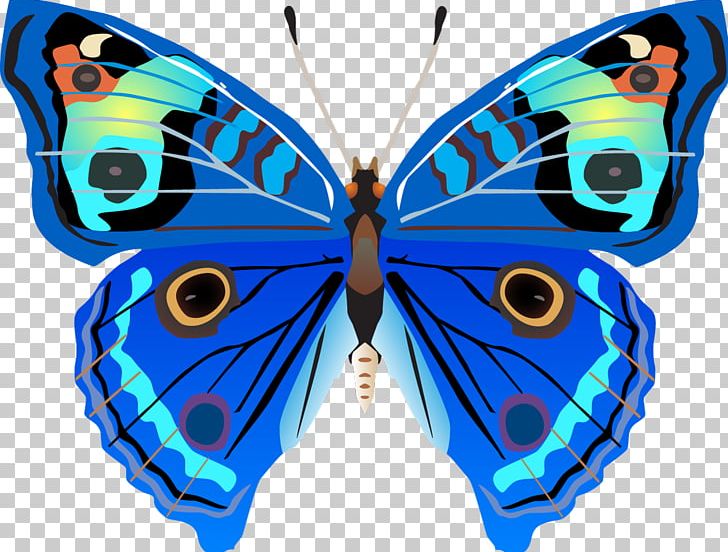 Butterfly Drawing PNG, Clipart, Art, Arthropod, Brush Footed Butterfly, Butterfly, Butterfly Net Free PNG Download