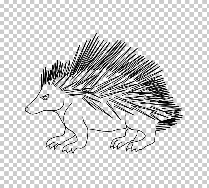 Hedgehog Echidna Porcupine Line Art White PNG, Clipart, Animals, Black And White, Carnivora, Carnivoran, Drawing Free PNG Download