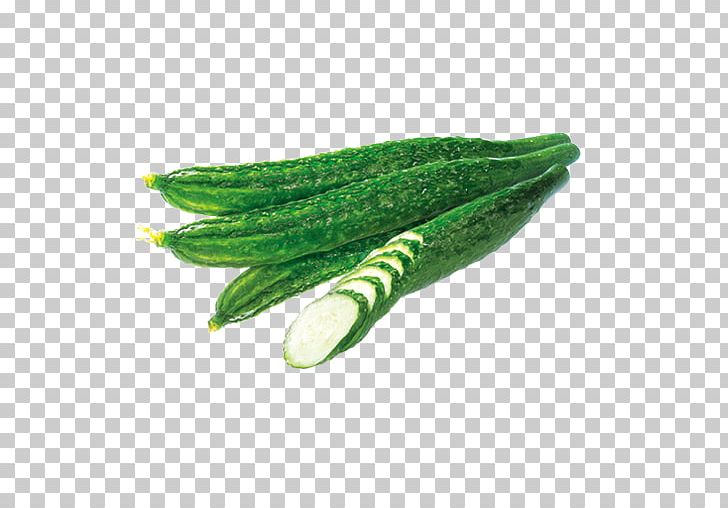 Leaf PNG, Clipart, Cucumber, Cucumber Cartoon, Cucumber Juice, Cucumber Mask, Cucumber Slice Free PNG Download