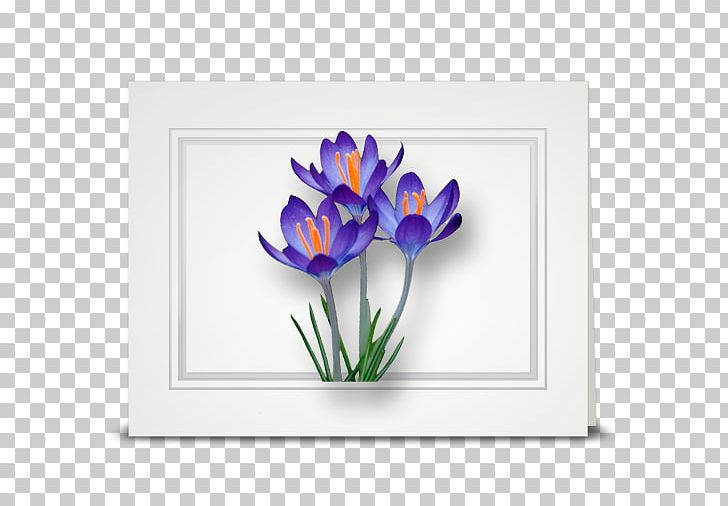 Flower Violet Crocus Petal Lavender PNG, Clipart, Blue, Crocus, Flower, Flowering Plant, Iridaceae Free PNG Download