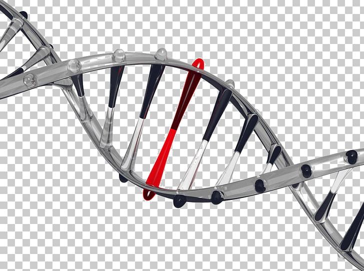 It's In Your DNA: From Discovery To Structure PNG, Clipart, Bicycle, Bicycle Accessory, Bicycle Frame, Bicycle Frames, Bicycle Part Free PNG Download