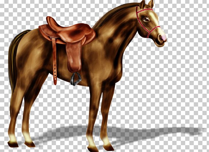 Standing Horse Saddle PNG, Clipart, Animals, Dark, Encapsulated Postscript, Hand, Horse Free PNG Download
