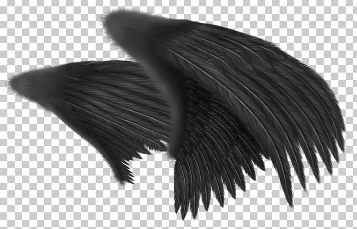 Angel Wing PNG, Clipart, Angel, Angel Wing, Animaatio, Black, Black And White Free PNG Download