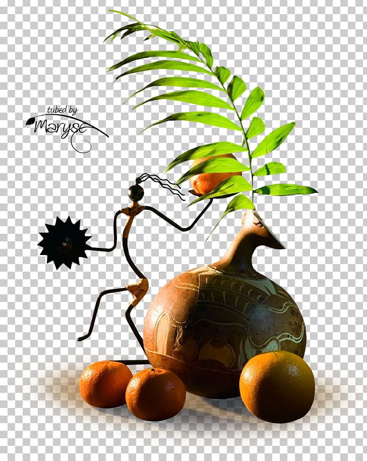 Vase Photography PNG, Clipart, Decorative Arts, Encapsulated Postscript, Flowerpot, Flowers, Food Free PNG Download