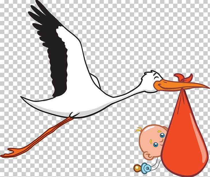 Infant Ciconia PNG, Clipart, Animals, Artwork, Baby Announcement, Beak, Bird Free PNG Download