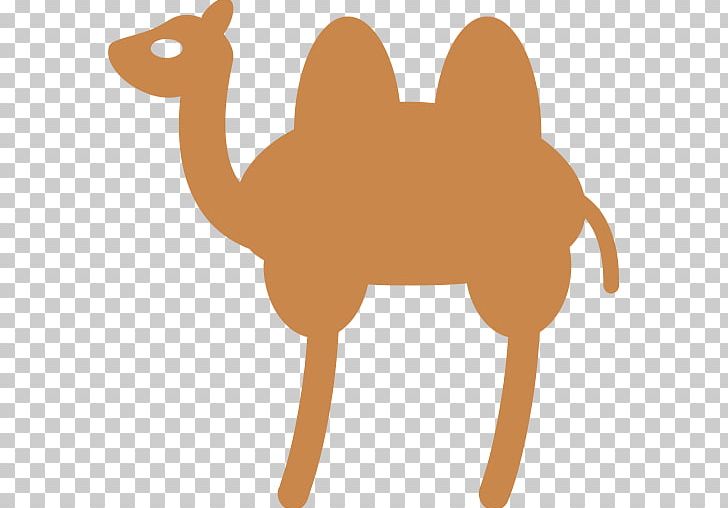 Mammal Carnivoran Others PNG, Clipart, Animation, Arabian Camel, Art, Bactrian Camel, Camel Free PNG Download