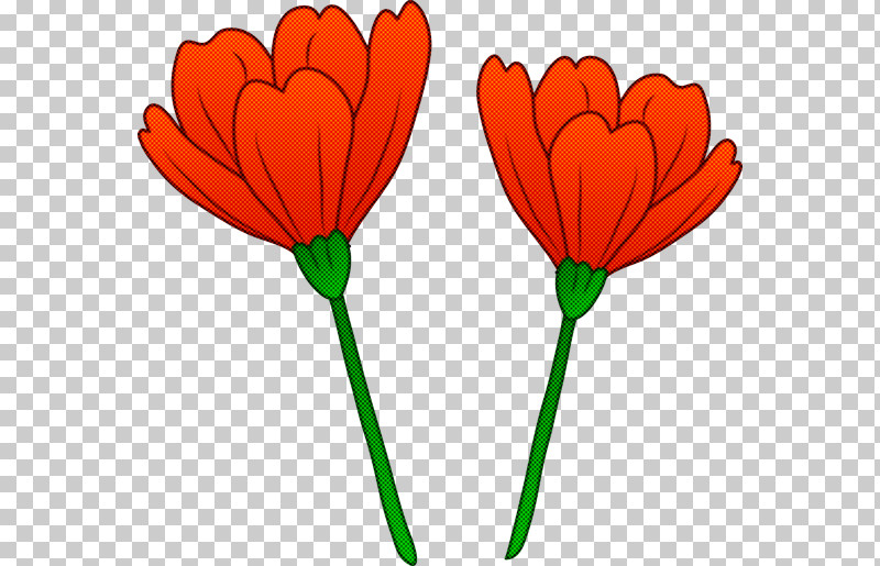 Flower Plant Petal Leaf Plant Stem PNG, Clipart, Coquelicot, Cut Flowers, Flower, Leaf, Petal Free PNG Download