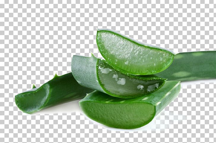 Aloe Vera Lotion Cream Aloe Emodin Gel PNG, Clipart, Abstract Pattern, Alibabacom, Alibaba Group, Aliexpress, Aloe Free PNG Download