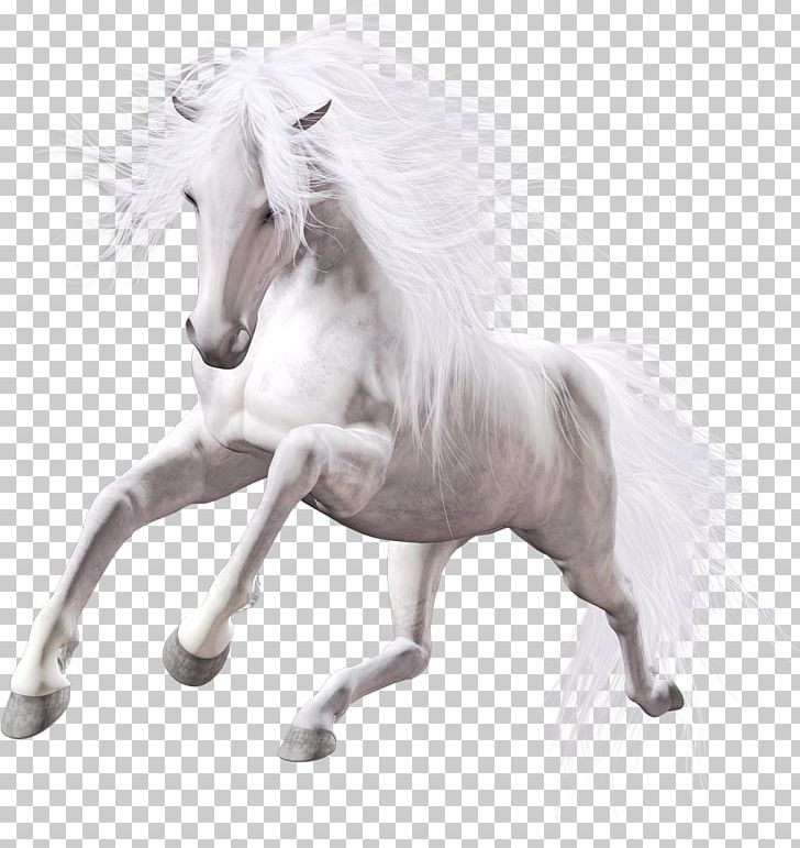 American Paint Horse Foal White PNG, Clipart, American Paint Horse, Animal Figure, Computer Icons, Desktop Wallpaper, Foal Free PNG Download