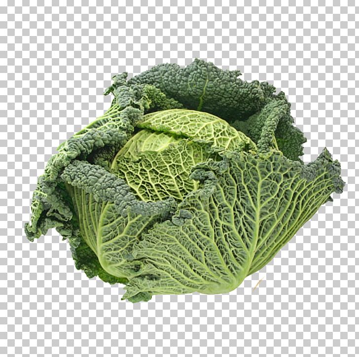 Broccoli Savoy Cabbage Spring Greens Vegetable PNG, Clipart, Cabbage, Cabbage Leaves, Cabbage Roses, Cartoon Cabbage, Chart Free PNG Download