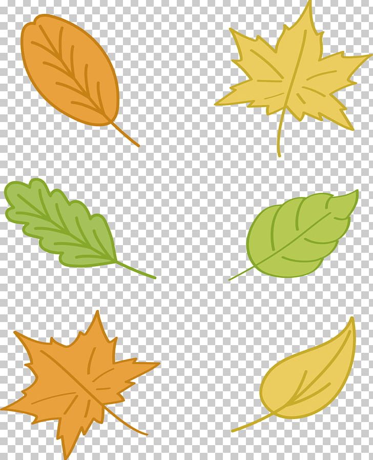 Maple Leaf Autumn Euclidean Yellow PNG, Clipart, Autumn Leaf Color, Autumn Leaves, Color, Color Splash, Color Vector Free PNG Download