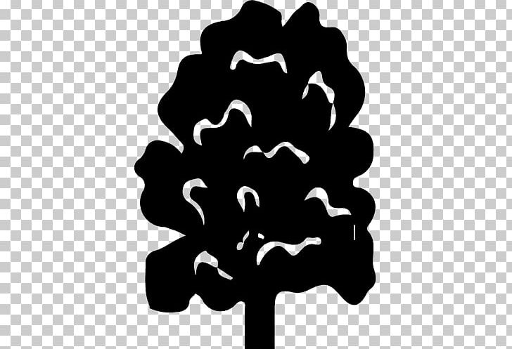 Tree White Leaf Black M Font PNG, Clipart, Acer, Black, Black And White, Black M, Flower Free PNG Download
