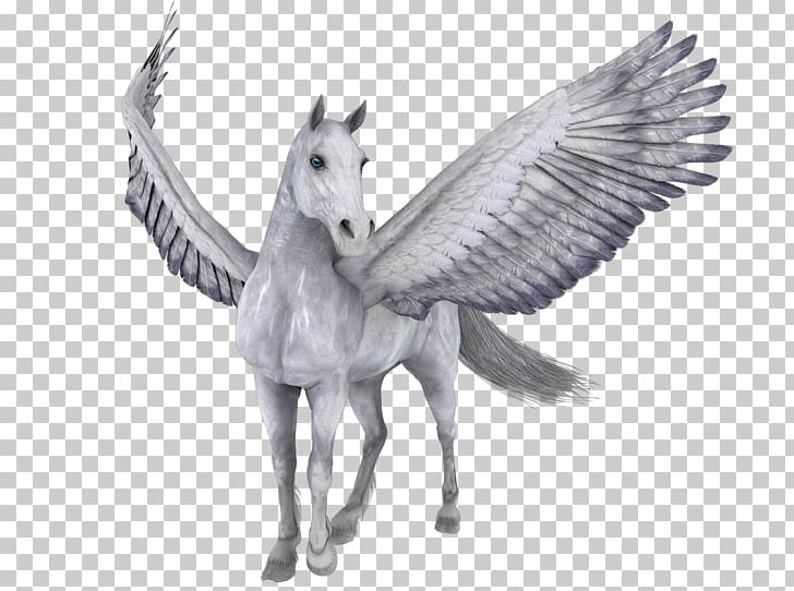 Angels Horse Pegasus PNG, Clipart, Animal, Deviantart, Fauna, Horse Like Mammal, Mane Free PNG Download