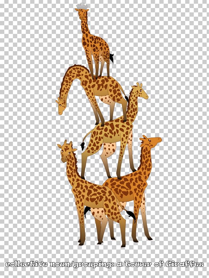 Giraffe Deer Neck Terrestrial Animal Wildlife PNG, Clipart, Animal, Animal Figure, Animals, Deer, Fauna Free PNG Download