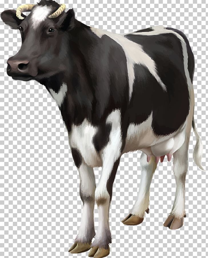 Holstein Friesian Cattle Milk Goat Dairy Cattle Dairy Farming PNG, Clipart, Animals, Automatic Milking, Bull, Calf, Cattle Free PNG Download