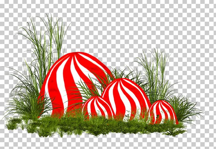 Alice's Adventures In Wonderland Christmas Ornament Illustration Russia Christmas Day PNG, Clipart,  Free PNG Download