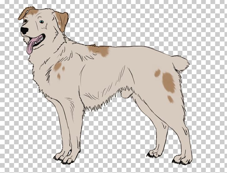 Dog Breed Akbash Dog Sporting Group Retriever Companion Dog PNG, Clipart, Akbash Dog, Ancient Dog Breeds, Breed, Carnivoran, Companion Dog Free PNG Download