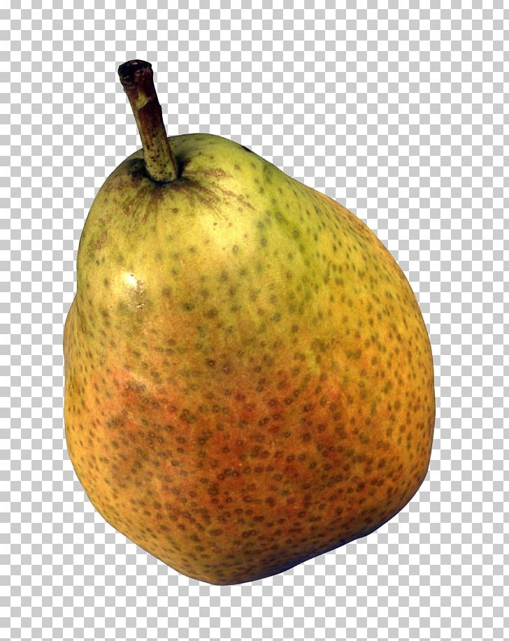 Food Fruit Williams Pear Bosc Pear PNG, Clipart, Apple, Asian Pear, Bitter Melon, Bosc Pear, Danjou Free PNG Download