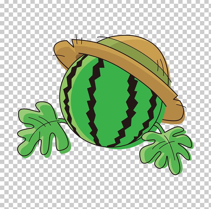 Watermelon Poster Illustration PNG, Clipart, Advertising, Amphibian, Auglis, Cartoon, Cartoon Watermelon Free PNG Download