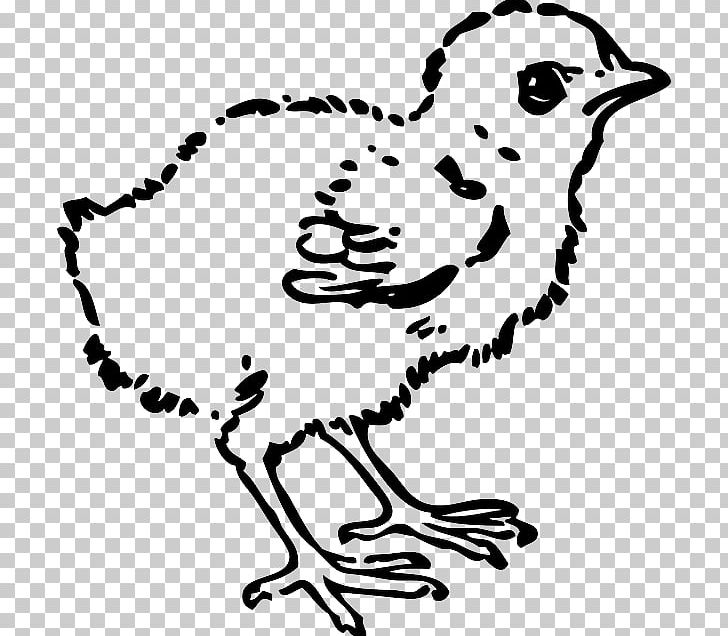 Chicken Kifaranga PNG, Clipart, Animals, Art, Artwork, Beak, Bird Free PNG Download