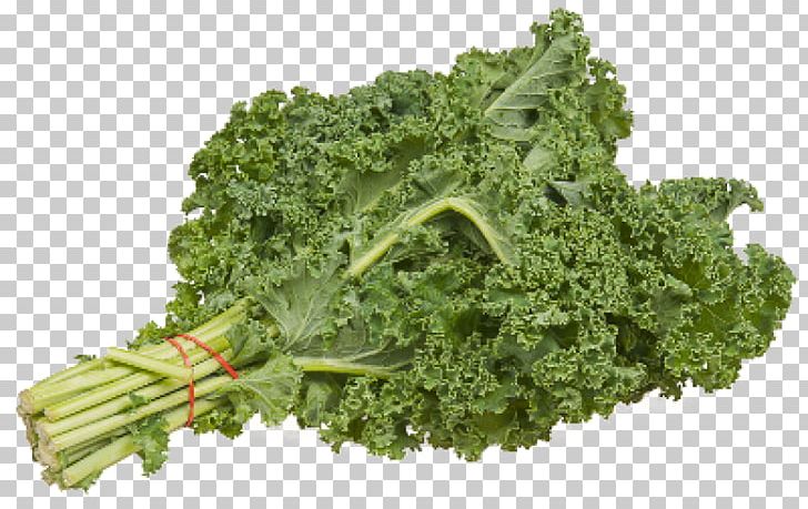 Smoothie Lacinato Kale Leaf Vegetable Green PNG, Clipart, Broccoli, Cabbage, Collard Greens, Eating, Food Free PNG Download