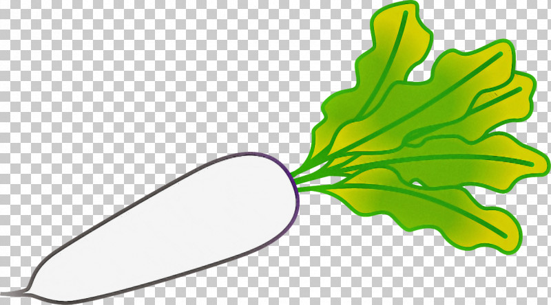 Leaf Green Plant PNG, Clipart, Green, Leaf, Plant Free PNG Download