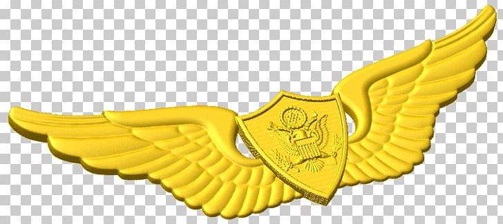 Astronaut Badge Combat Infantryman Badge Expert Infantryman Badge Army PNG, Clipart, 0506147919, Aircrew Badge, Astronaut, Astronaut Badge, Award Free PNG Download