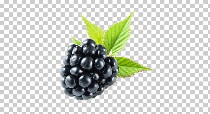 Blackberry PNG, Clipart, Blackberry Free PNG Download