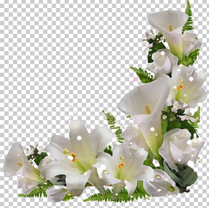 Ansichtkaart PNG, Clipart, Ansichtkaart, Blossom, Cut Flowers, Digital Image, Easter Lily Free PNG Download