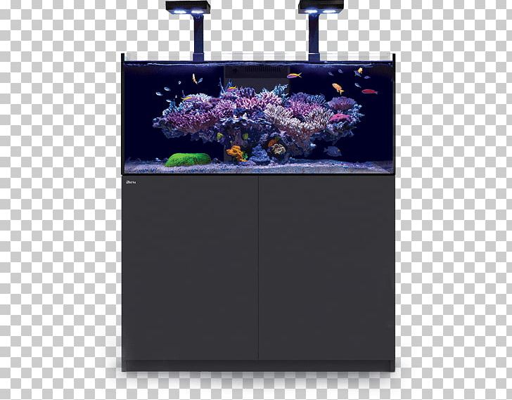 Aquarium Lighting Nutrient Reef Aquarium Recipe PNG, Clipart, Aiptasia, Aquarium, Aquarium Lighting, Lighting, Nutrient Free PNG Download