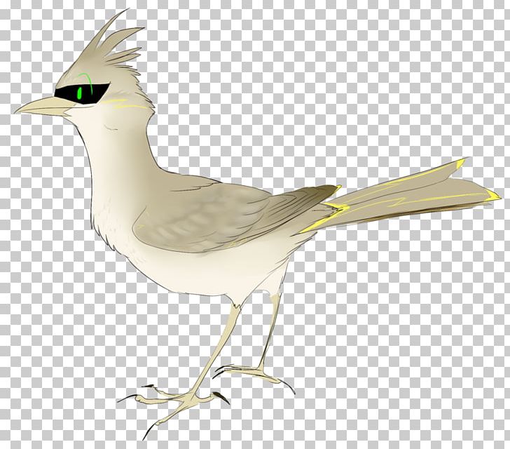 European Herring Gull Lark Gulls Water Bird PNG, Clipart, Animals, Beak, Bird, Charadriiformes, European Herring Gull Free PNG Download