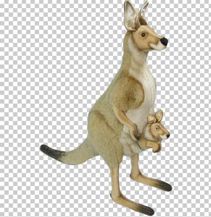 Kangaroo PNG, Clipart, Animals, Cartoon Kangaroo, Christmas Kangaroo, Download, Fauna Free PNG Download