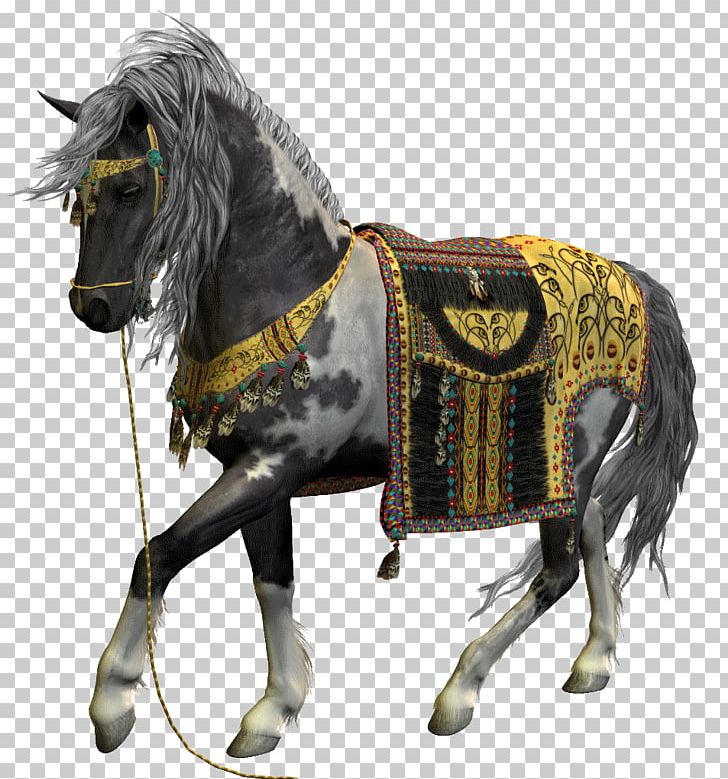 Konik Stallion Pony PNG, Clipart, Bridle, Clip Art, Download, Email, Horse Free PNG Download