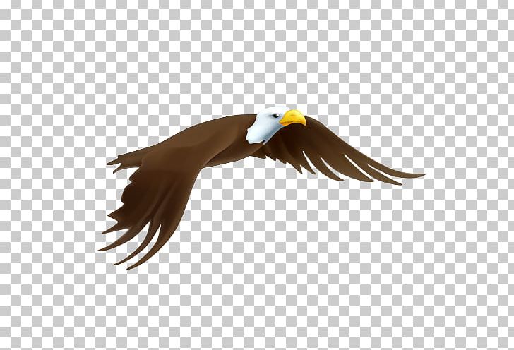 Bald Eagle Drawing PNG, Clipart, Accipitriformes, Air, Animals, Bald Eagle, Beak Free PNG Download