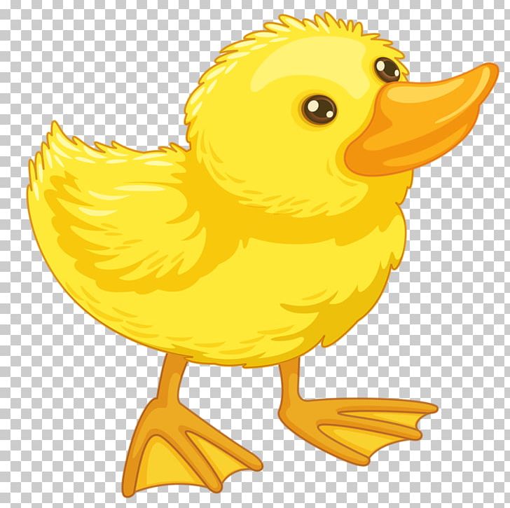 Duck Drawing PNG, Clipart, Animal, Animals, Art, Beak, Bird Free PNG Download