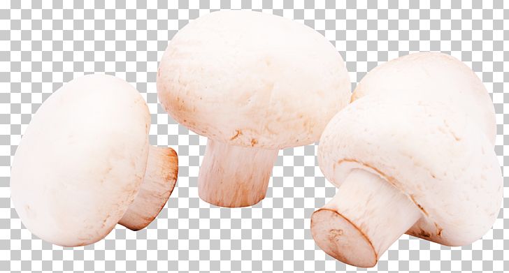 Mushroom Shiitake Agaricus Icon PNG, Clipart, Agaricaceae, Agaricus, Child, Computer Icons, Finger Free PNG Download