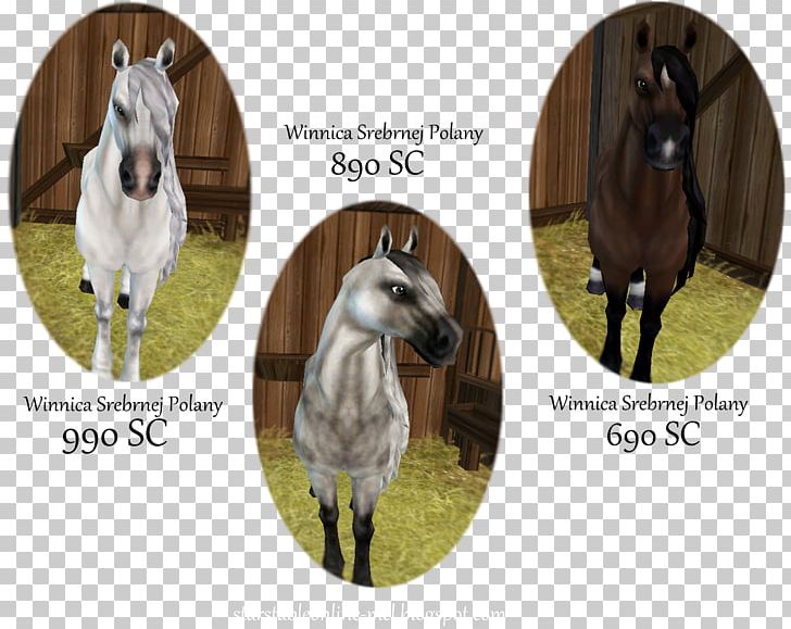 Stallion Star Stable Foal Mustang Mare PNG, Clipart, Bridle, Fauna, Fjord, Foal, Halter Free PNG Download