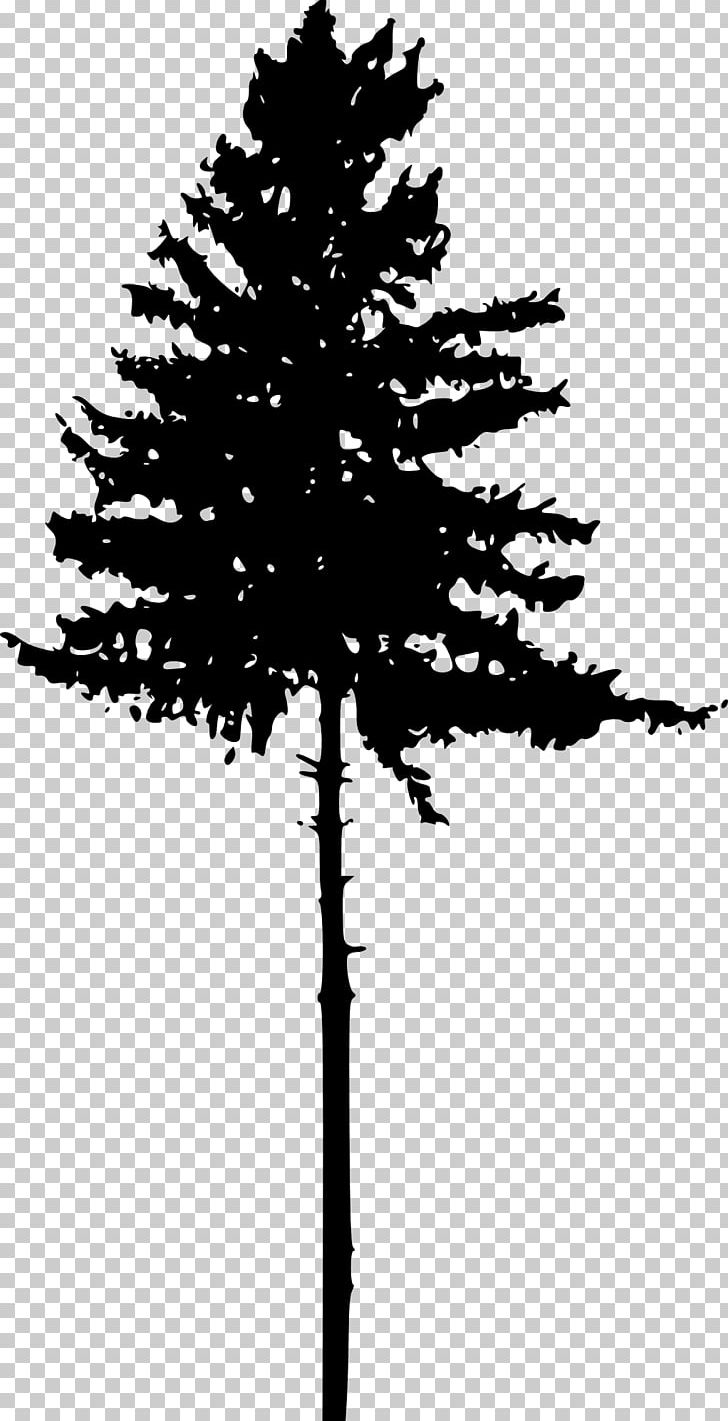 Tree Pine Silhouette PNG, Clipart, Black And White, Branch, Christmas Tree, Computer Icons, Conifer Free PNG Download